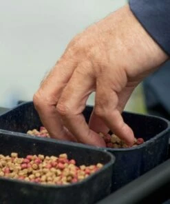 Preston Bait Tubs Bait Boxes 7 Preston Bait Tubs Bait Boxes -Preston Outlet Store Preston Bait Tubs 2