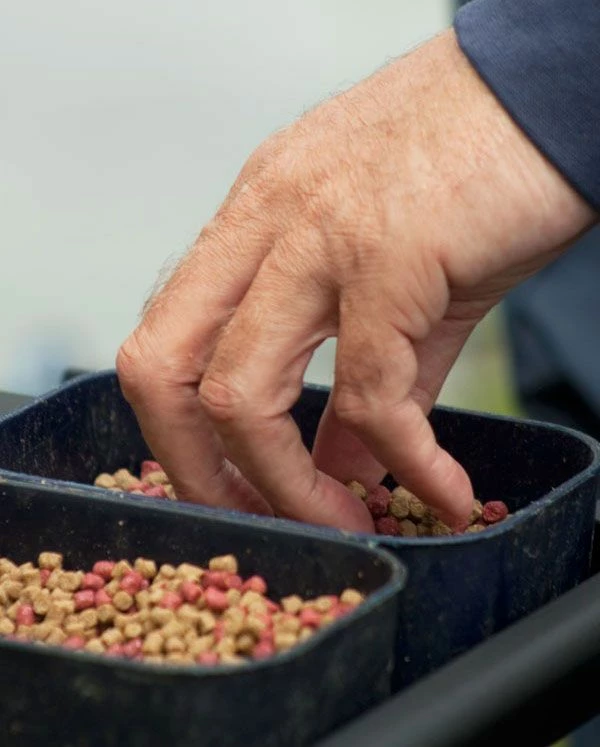 Preston Bait Tubs Bait Boxes 4 Preston Bait Tubs Bait Boxes - Image 4