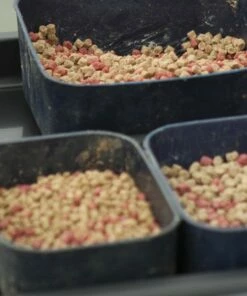 Preston OffBox Bait Tubs Bait Boxes -Preston Outlet Store Preston Innovations Bait Tubs 3