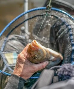 Preston Free Flow Landing Net Nets 8 Preston Free Flow Landing Net Nets -Preston Outlet Store preston free flow landing net in use 1